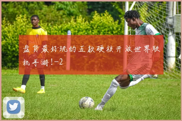 盘货最好玩的五款硬核开放世界联机手游!