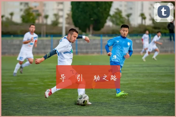 导•引•助之路