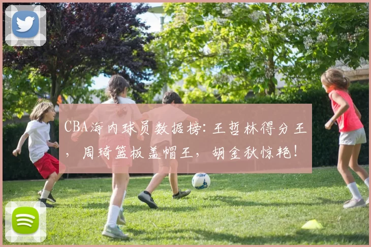 CBA海内球员数据榜:王哲林得分王，周琦篮板盖帽王，胡金秋惊艳！