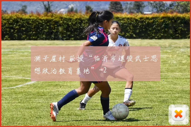 渊子崖村 获授“临沂市退役武士思想政治教育基地”